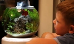 Akvárium pro kluk