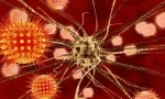 Diagnostika, léčba a prevence klíšťovité encefalitidy