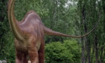 Diplodocus
