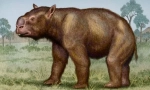 Diprotodon