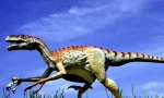 Domeosaur