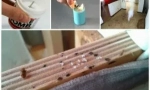 Komíny z bedbugs