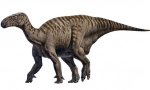 Iguanodon