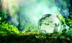 Ekosystém: komponenty, struktura, elektrické řetězy