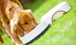 Purina pro plan dog feed: premium class ready