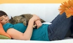Catotherapy