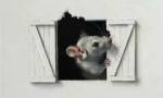 Myši ve stěnách dřevěného a šikmého domu