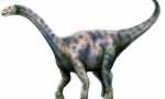 Nurozavr