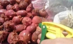 Léčba brambor před přistáním
