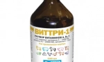 Vlastnosti komplexu vittri-1 příprava vitamínů pro kočky