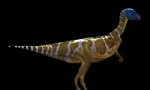 Otnelia