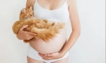 Proč kočka padá na břicho těhotných žen