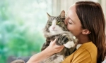 Příčiny alergií na kočky