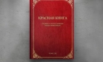 Vzácné ptáky eurasia