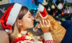 Šťastný nový rok, kočka! 14 novoroční nápady pro kočky