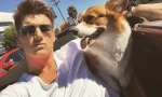 Jaký druh plemene dobyl srdce alexey vorobyov?