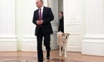 Ruský prezident vladimir putin psi