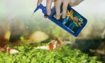 Nástroje pro akvárium. Péče chemie, vitamíny, klimatizace