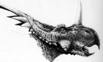 Straakosaurus