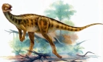 Tsesonozavr