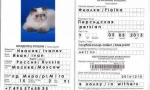 Veterinární pas pro kočku: design design nuance