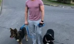 Hvězdy ukazují podnikání, které pomáhají bezdomovcům