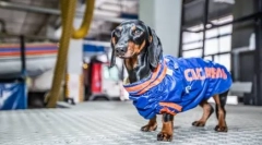 4 Slavné daně, které pomáhají lidem