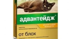 Advandage pro kočky - kapky z blech a vši