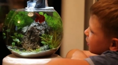 Akvárium pro kluk