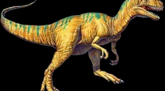 Allosavr