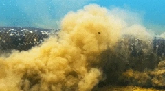 Anakonda