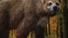 Arkthodus