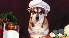 Misky všechny jeden po druhém