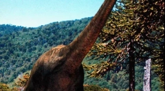 Brachiosaur