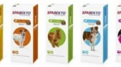 Bravkto z klíšťat, blech a dalších parazitů