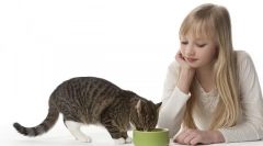 Časté otázky týkající se krmivých koček