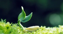 Co je potřeba k udržení života?