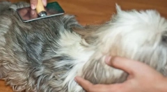 Co vede k tvorbě chatuninů a jak se s nimi vyrovnat?