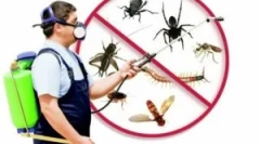 Co je disininekce, druhy a objednávka