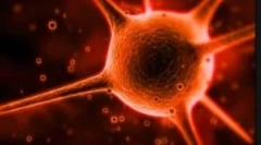 Co je to cryptosporidia a jaké jsou metody jeho léčby?