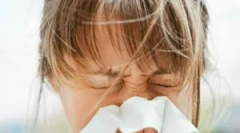 Dermatofage peric nebo dust klíště