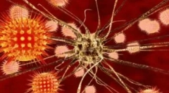 Diagnostika, léčba a prevence klíšťovité encefalitidy