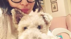 Domácí mazlíčci herců série hra trůnů