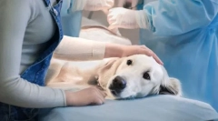 Výhody a nevýhody sterilizace