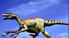 Domeosaur
