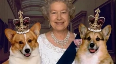 Dvojité přezdívky pro psy, ruština a zahraniční