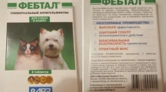 Febtrel: lék, který zachrání kočku od červů