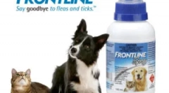 Frontline pro kočky: pokyny pro použití
