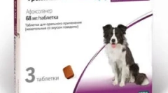 Frontline nexgard a pokyny pro jeho použití