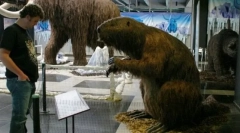 Obří beaver